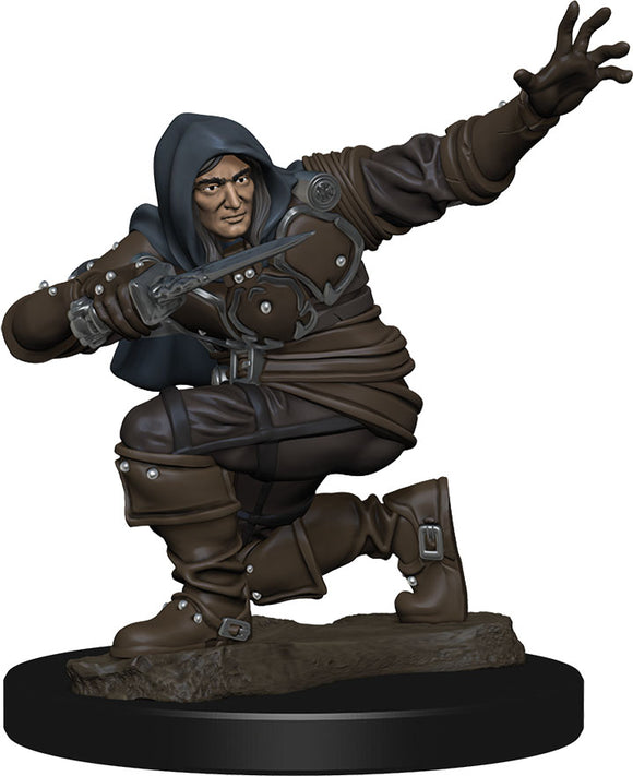 Pathfinder Battles: Premium Painted Figure - W1 Human Rogue Male