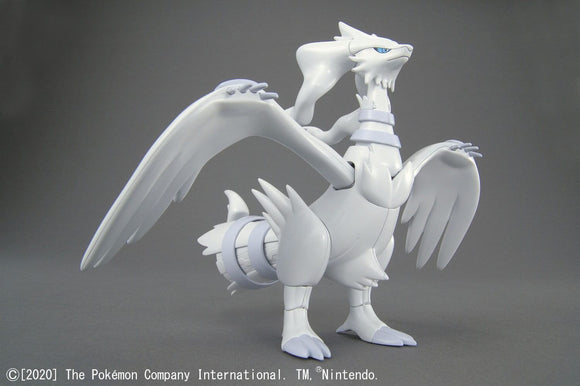 Pokepla: Reshiram