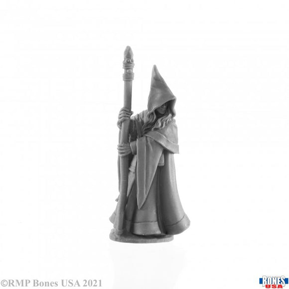 Reaper Legends - ANIRION, ELF WIZARD ELF WIZARD 30027