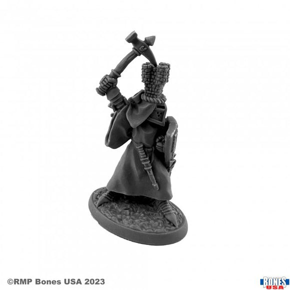 Reaper Legends - SIR ROLAND THE GREY HERALDIC KNIGHT 30152