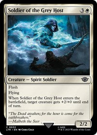 Magic: The Gathering Single - Universes Beyond: The Lord of the Rings: Tales of Middle-earth - Soldier of the Grey Host (Foil) - Common/0032 - Lightly Played