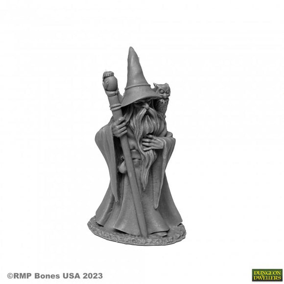 Reaper Bones USA - ANUMINAR WINTERBEARD, WIZARD 07077