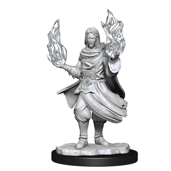 Critical Role Unpainted Miniatures: W1 Hollow One Rogue and Sorceror Male