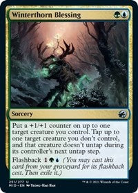 Magic: The Gathering Single - Innistrad: Midnight Hunt - Winterthorn Blessing - Uncommon/251 Lightly Played