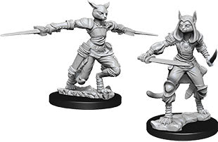 Tabaxi Rogue Product Image Enlarge Image Dungeons & Dragons Nolzur`s Marvelous Unpainted Miniatures: W9 Female Tabaxi Rogue
