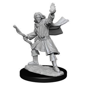 Pathfinder Minis: Deepcuts Wave 14- Elf Sorcerer Male