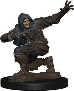 Pathfinder Battles: Premium Painted Figure - W1 Human Rogue Male
