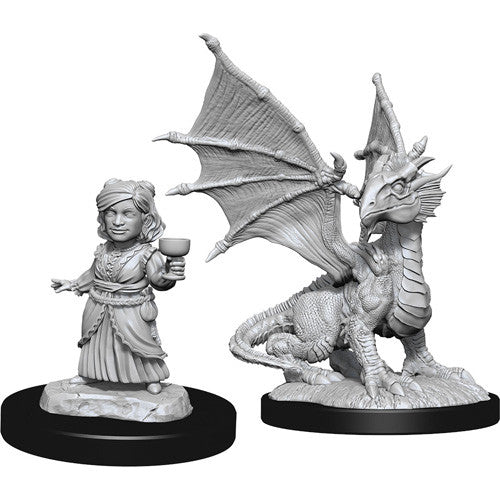 Dungeons & Dragons Nolzur`s Marvelous Unpainted Miniatures: W13 Silver Dragon Wyrmling & Halfing Dragon Friend