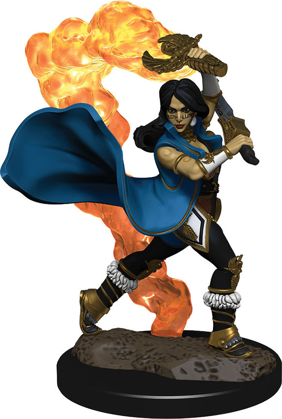 Pathfinder Battles: Premium Painted Figure - W2 Human Cleric Female
