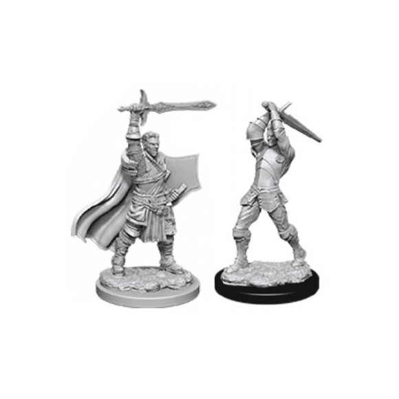 D&D Minis: Wave 12- Male Human Paladin