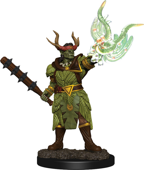 Pathfinder Battles: Premium Painted Figure - W2 Half-Ord Druid Male