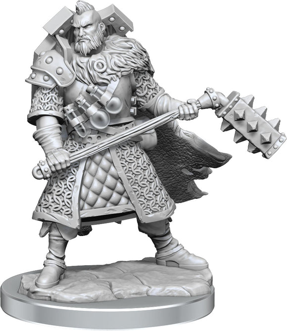 Dungeons & Dragons Frameworks: W01 Human Fighter Male