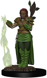 D&D Icons of the Realms: Premium Miniature - Human Druid