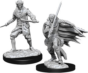 Pathfinder Deep Cuts Unpainted Miniatures: W10 Male Elf Rogue