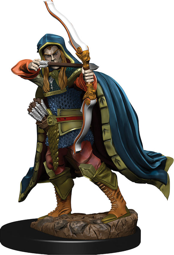 D&D Icons of the Realms: Premium Elf Male Rouge