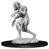 Pathfinder Minis: Deepcuts Wave 14- Annis Hag & Green Hag