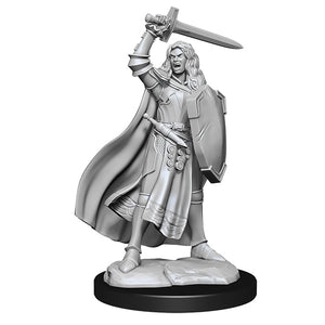 Pathfinder Minis: Deepcuts Wave 14- Human Champion Female