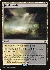 Magic: The Gathering -Masters 25 - Fetid Heath Rare/238 Lightly Played