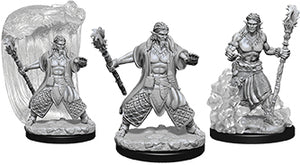 Dungeons & Dragons Nolzur`s Marvelous Unpainted Miniatures: W5 Water Genasi Male Druid