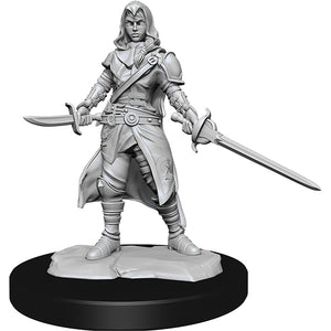 D&D Minis: Wave 14- Half-Elf Rogue Female