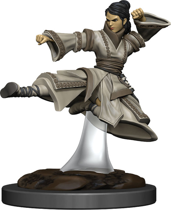 D&D Icons of the Realms: Premium Human Female Monk