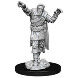 D&D Minis: Wave 14- Scarecrow & Stone Cursed