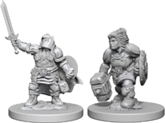 Dungeons & Dragons Nolzur`s Marvelous Unpainted Miniatures: W3 Dwarf Female Paladin