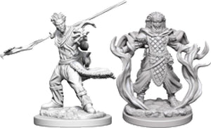 Dungeons & Dragons Nolzur`s Marvelous Unpainted Miniatures: W3 Human Male Druid