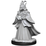Dungeons & Dragons MTG Miniatures: W14 Shapeshifters