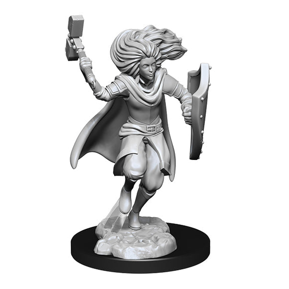 D&D Minis: Wave 14- Changeling Cleric Male