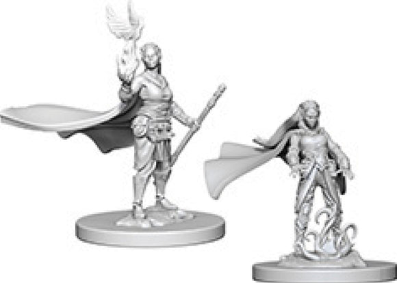 Dungeons & Dragons Nolzur`s Marvelous Unpainted Miniatures: W4 Elf Female Druid